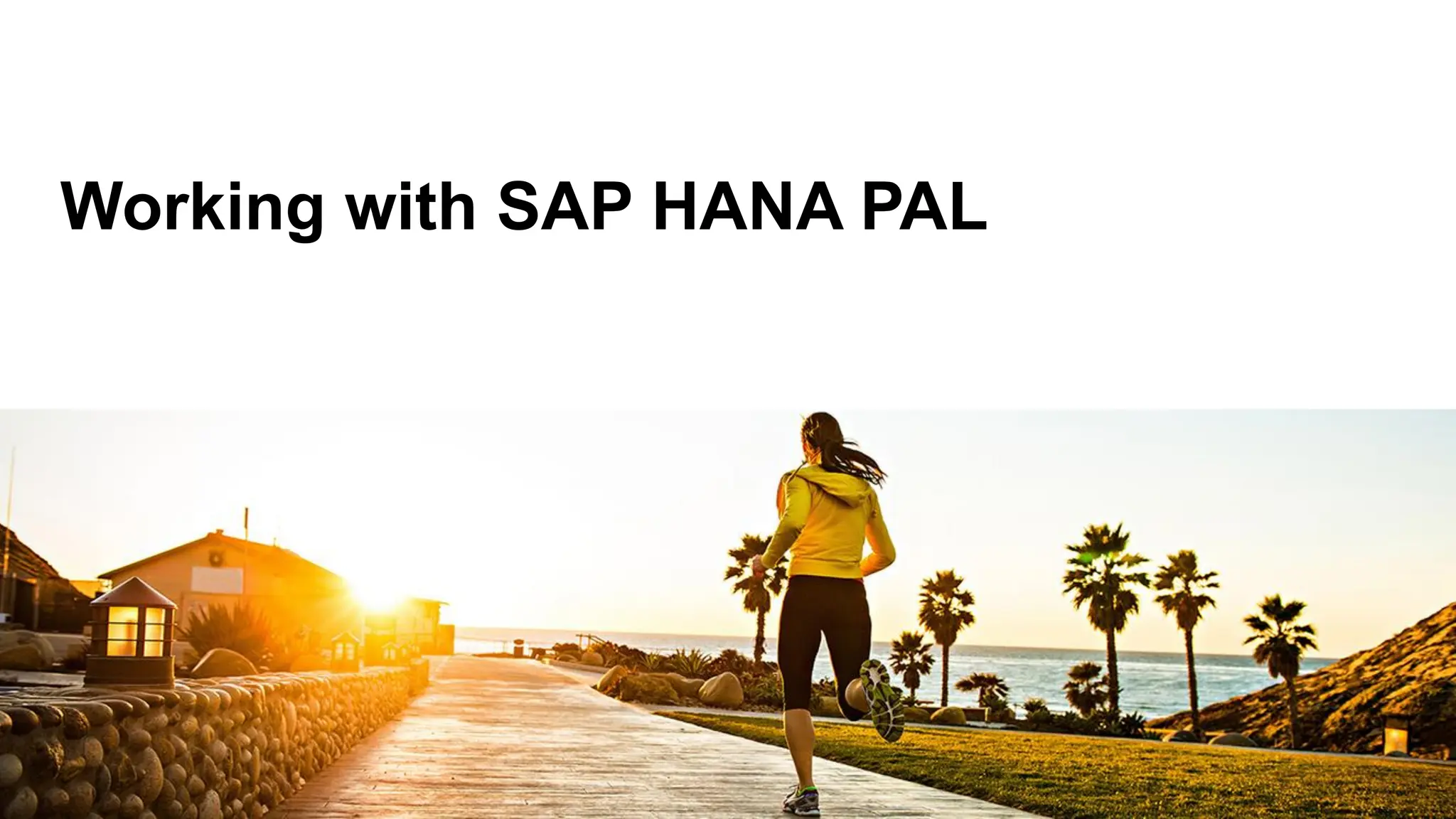 Working with SAP HANA PAL
 