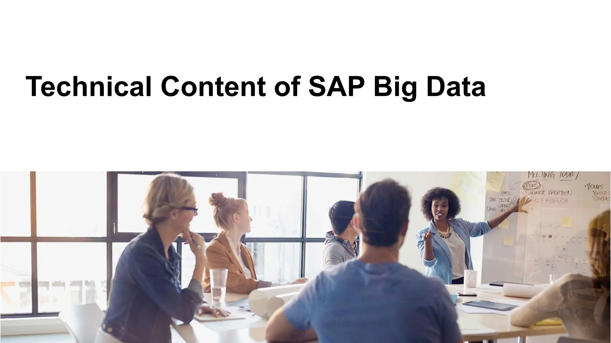 Technical Content of SAP Big Data
 