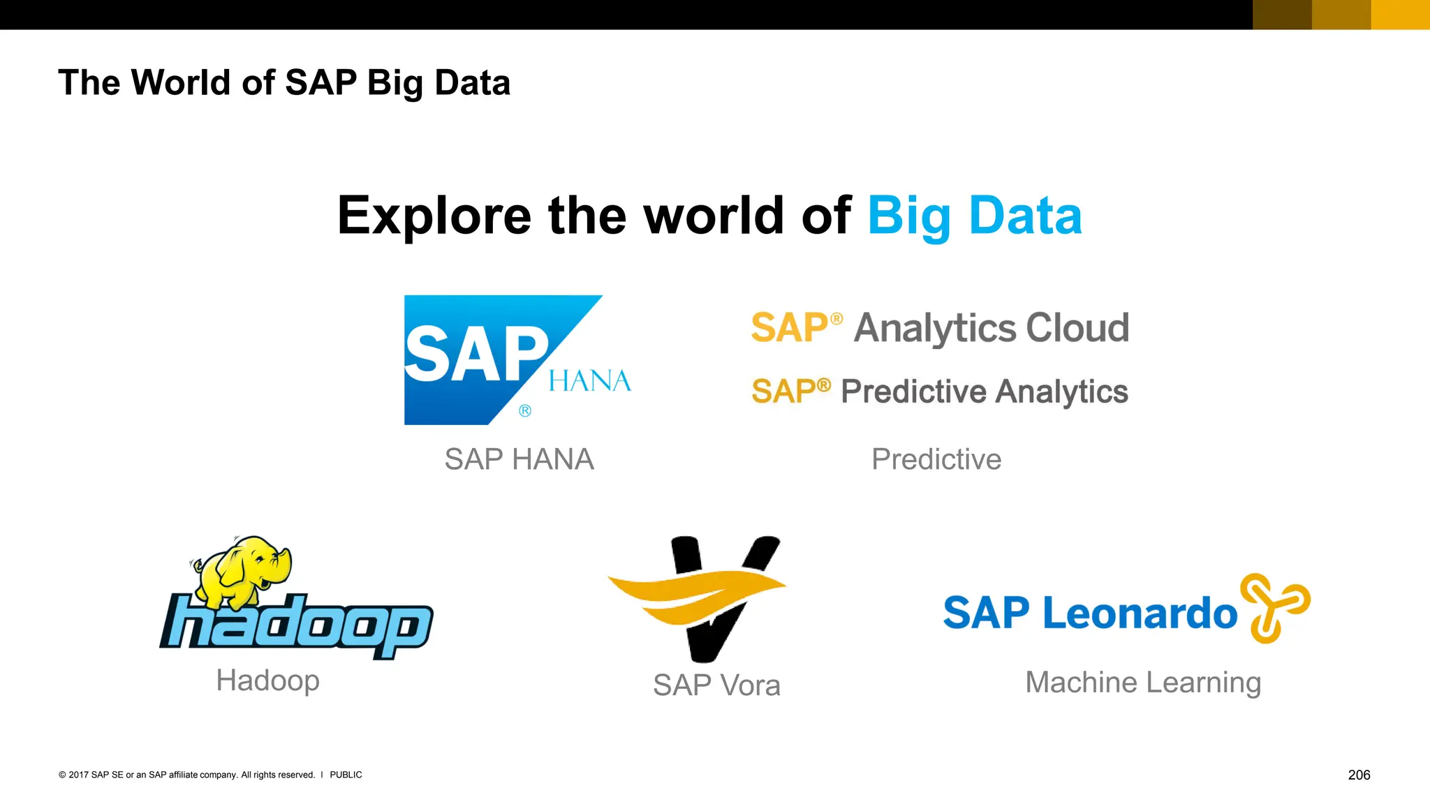 206
PUBLIC
© 2017 SAP SE or an SAP affiliate company. All rights reserved. ǀ
Explore the world of Big Data
SAP HANA Predictive
Hadoop SAP Vora Machine Learning
The World of SAP Big Data
 