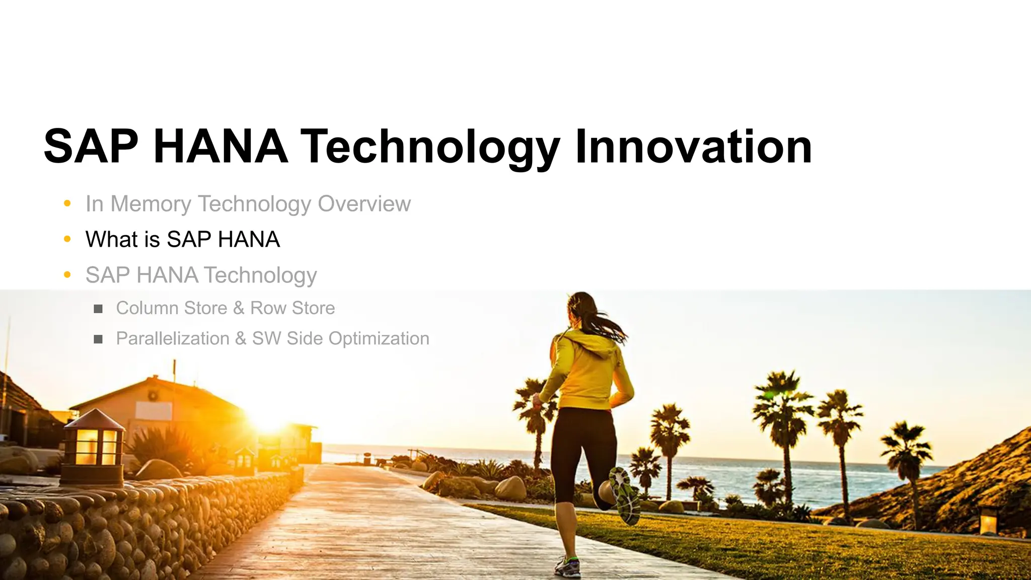 SAP HANA Technology Innovation
 In Memory Technology Overview
 What is SAP HANA
 SAP HANA Technology
 Column Store & Row Store
 Parallelization & SW Side Optimization
 