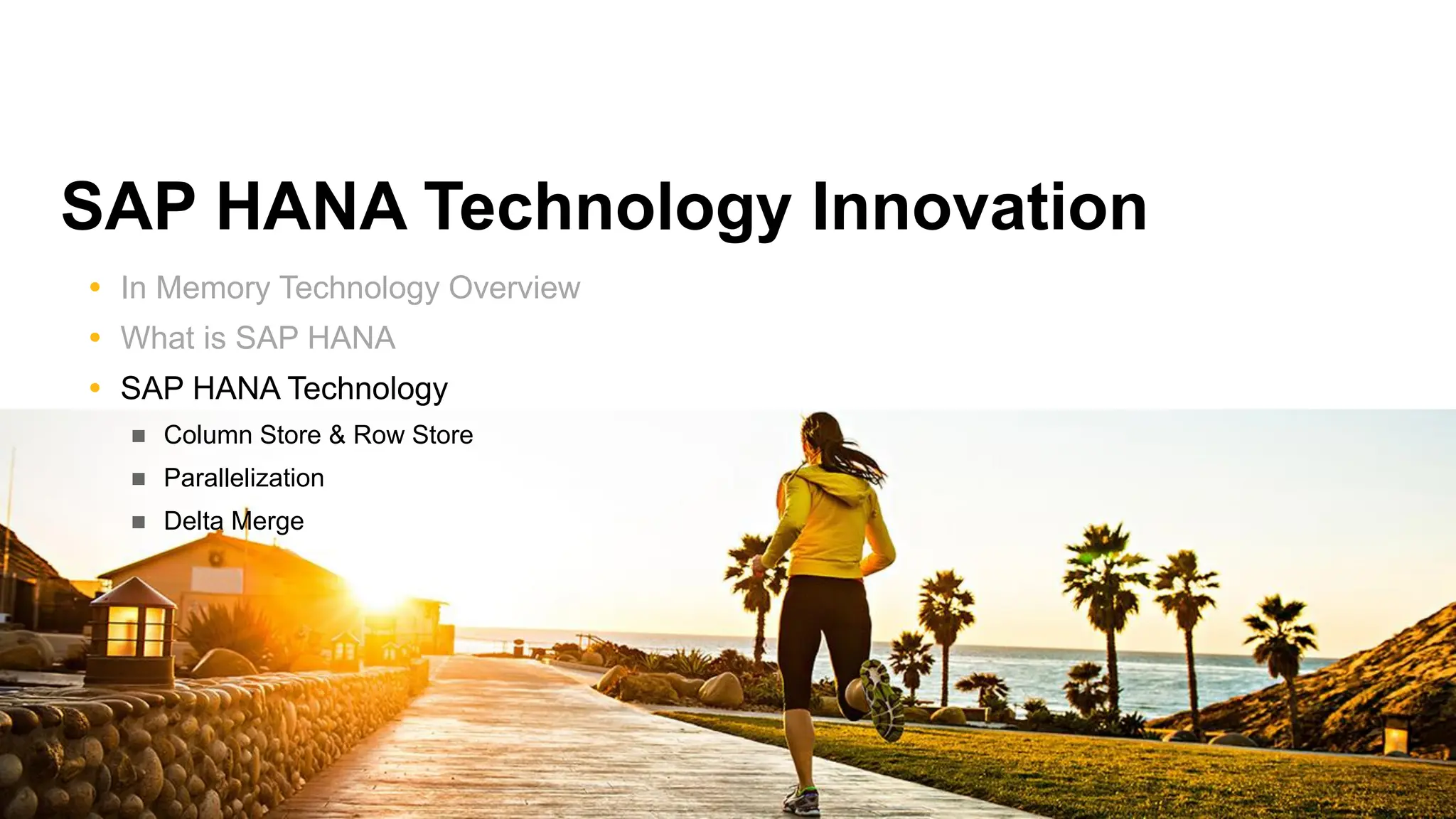 SAP HANA Technology Innovation
 In Memory Technology Overview
 What is SAP HANA
 SAP HANA Technology
 Column Store & Row Store
 Parallelization
 Delta Merge
 