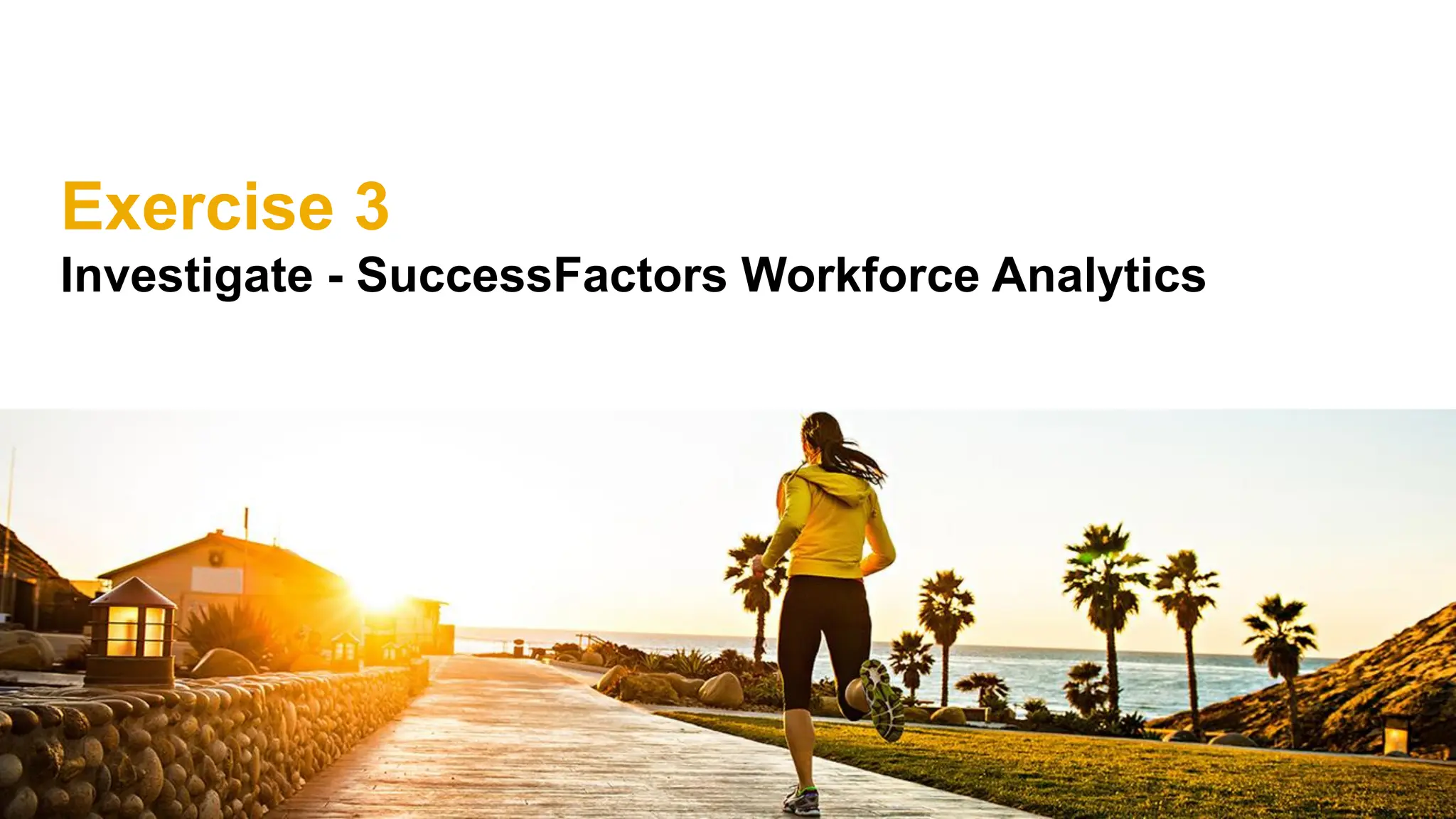 Exercise 3
Investigate - SuccessFactors Workforce Analytics
 