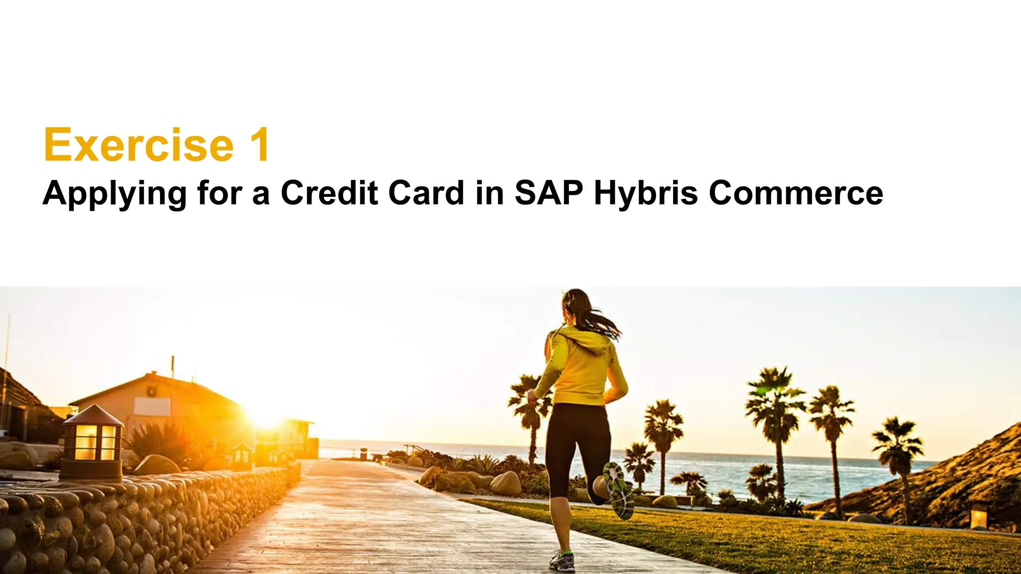 Exercise 1
Applying for a Credit Card in SAP Hybris Commerce
 
