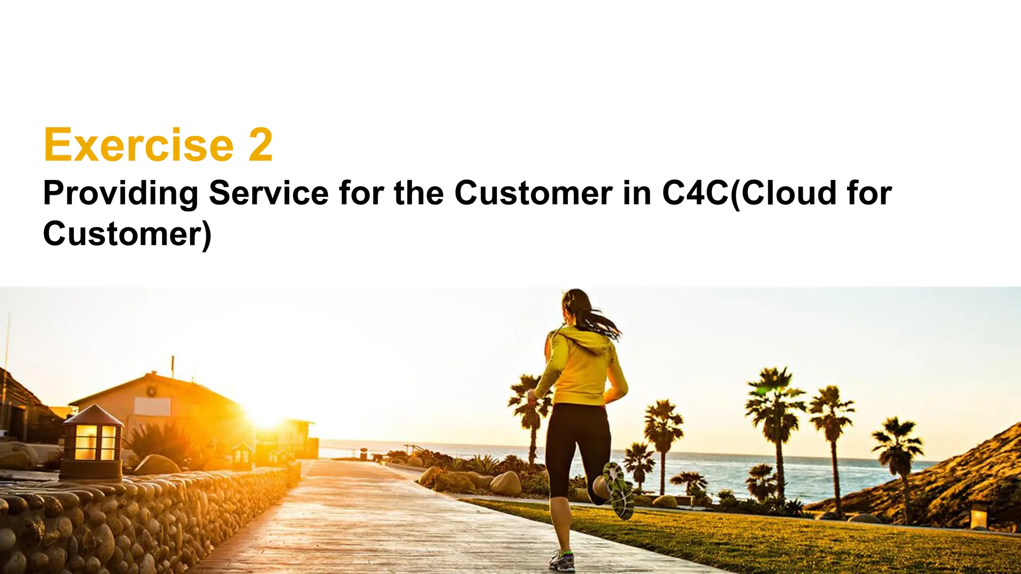 Exercise 2
Providing Service for the Customer in C4C(Cloud for
Customer)
 