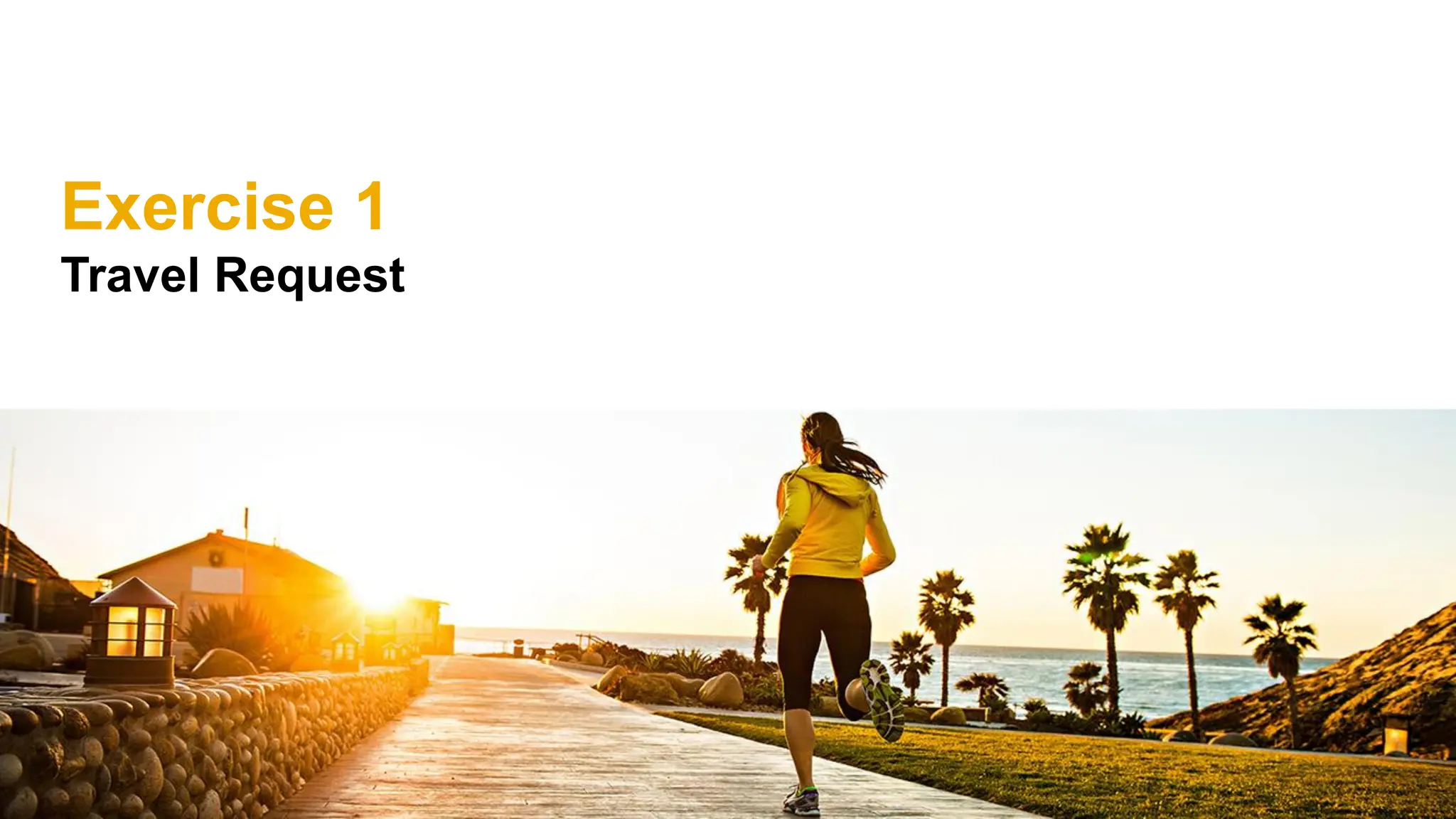 Exercise 1
Travel Request
 