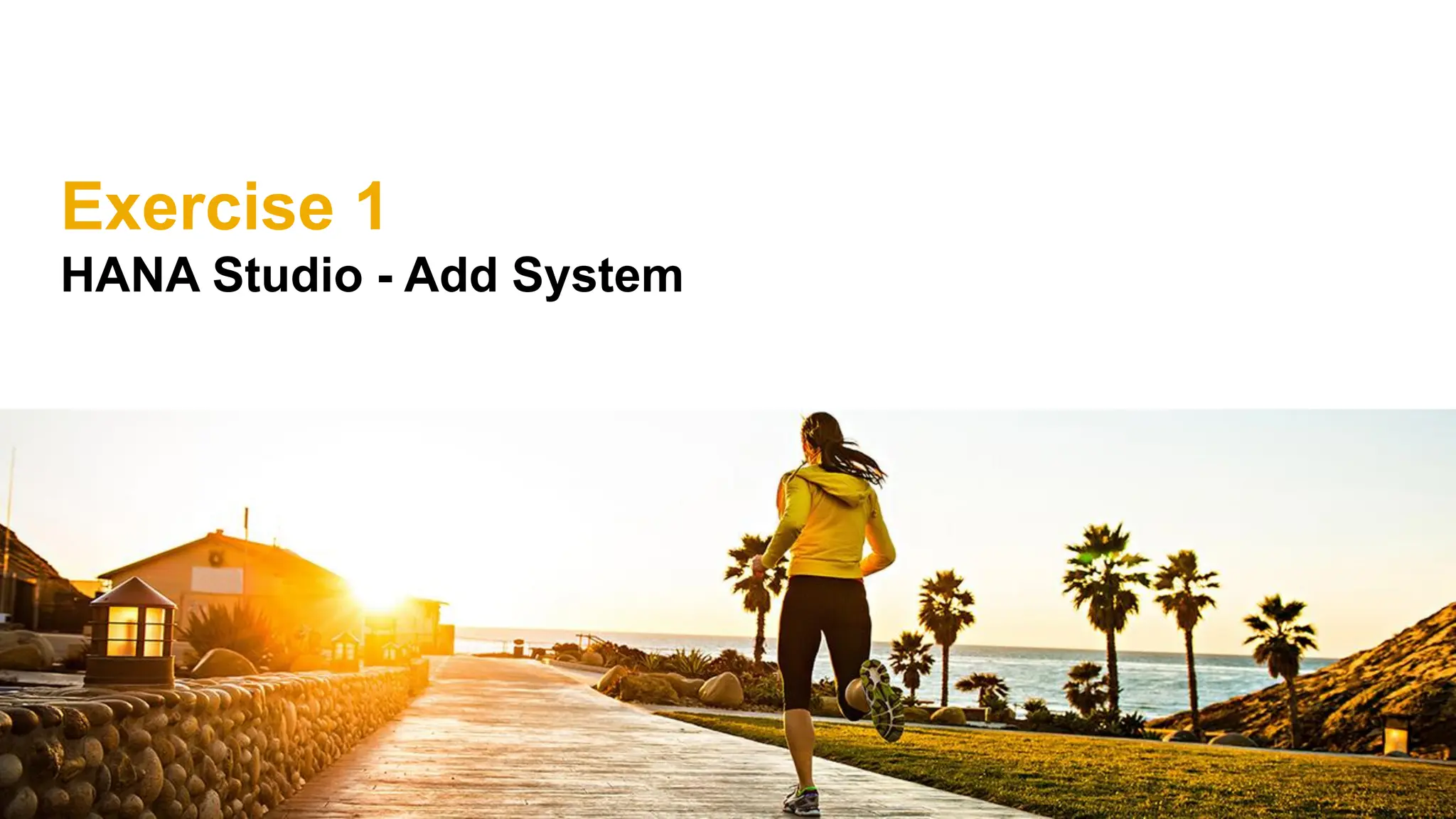 Exercise 1
HANA Studio - Add System
 