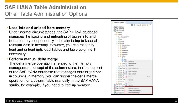 Hana e2 e_adminmonitoring_sps08