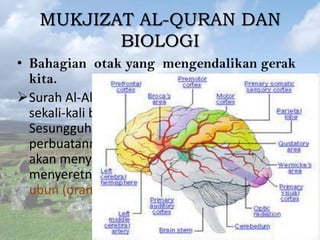 MUKJIZAT AL-QURAN DAN
BIOLOGI
• Bahagian otak yang mengendalikan gerak
kita.
Surah Al-Alaq (96:15-16). Bermaksud: jangan
sekali-kali berlaku derhaka! Demi
Sesungguhnya jika ia tidak berhenti (dari
perbuatannya Yang buruk itu), nescaya Kami
akan menyentap ubun-ubunnya (dan
menyeretnya ke Dalam neraka), Dan ubunubun (orang) Yang berdusta, Yang bersalah.

 