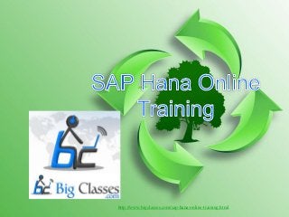 http://www.bigclasses.com/sap-hana-online-training.html
 