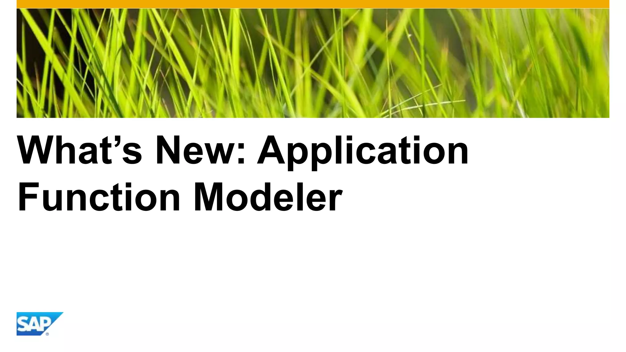 What’s New: Application
Function Modeler

 