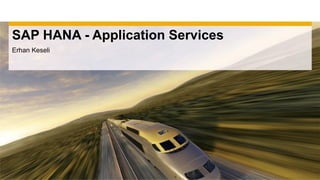 SAP HANA - Application Services
Erhan Keseli
 