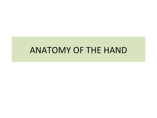 ANATOMY OF THE HAND

 