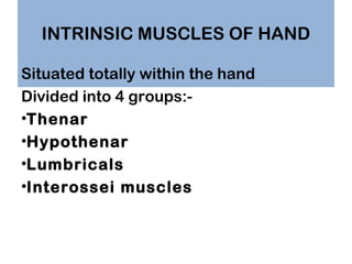 INTRINSIC MUSCLES OF HAND
Situated totally within the hand
Divided into 4 groups:•Thenar
•Hypothenar
•Lumbricals
•Inteross...