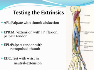 Tendon injuries of hand | PPTX