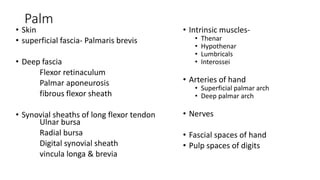 Palm
• Skin
• superficial fascia- Palmaris brevis
• Deep fascia
Flexor retinaculum
Palmar aponeurosis
fibrous flexor sheath
• Synovial sheaths of long flexor tendon
Ulnar bursa
Radial bursa
Digital synovial sheath
vincula longa & brevia
• Intrinsic muscles-
• Thenar
• Hypothenar
• Lumbricals
• Interossei
• Arteries of hand
• Superficial palmar arch
• Deep palmar arch
• Nerves
• Fascial spaces of hand
• Pulp spaces of digits
 