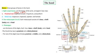 hand.pdf