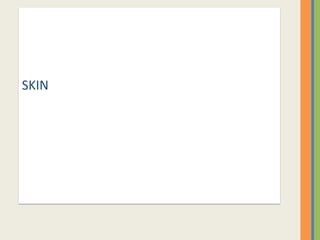 SKIN