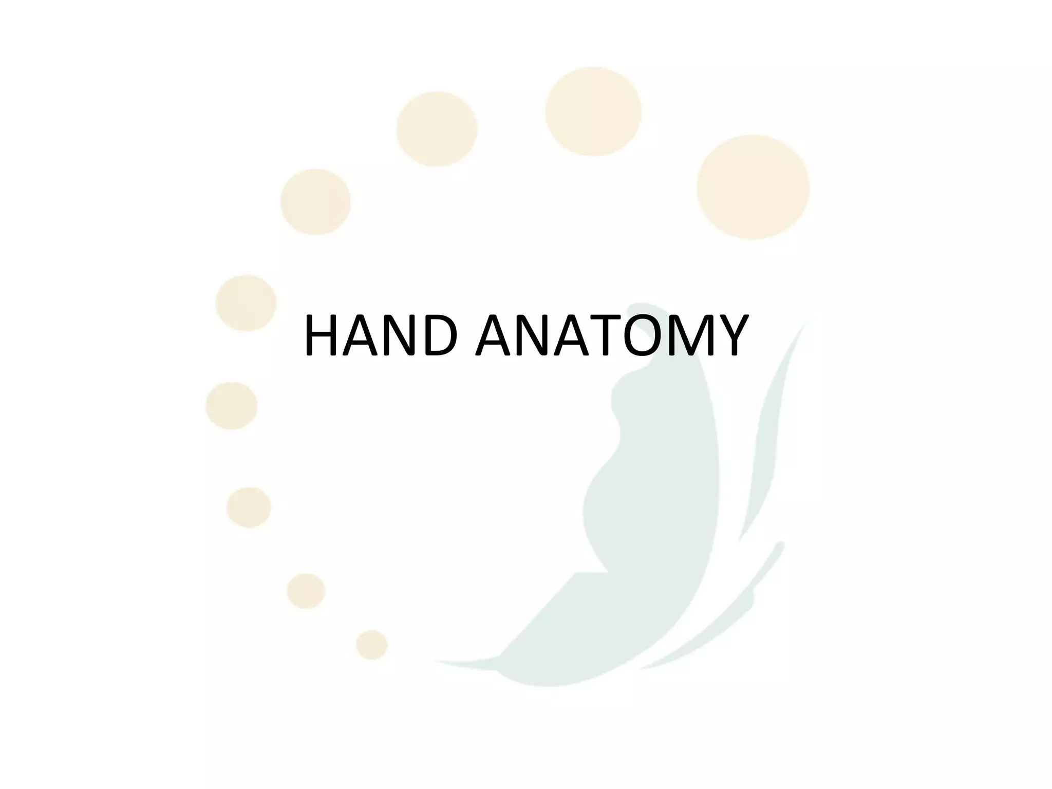 Hand anatomy | PPT