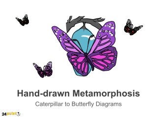 Hand-drawn Metamorphosis - PowerPoint Illustration