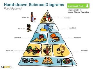 Hand-drawn Science Diagrams
Food Pyramid

Insert text

Insert text

Insert text

Insert text

Insert text

Insert text

Insert text

Insert text
Insert text

Insert text

 