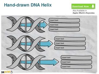 Hand-drawn DNA Helix

 
