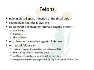 Felons
 palmar closed-space infection of the distal pulp
 severe pain, redness & swelling
 Hx of minor penetrating trauma is usually present:
    Minor cuts
    Splinters
    Glass slivers
 most frequent causative agent: S. Aureus
 untreated felons can:
       extend toward the phalanx --> osteomyelitis
      toward the skin --> draining sinus
      obliterate vessels ---> skin slough or necrosis
      supperative flexor tenosynovitis or septic arthritis of the DIPJ
 