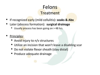 Felons
                            Treatment
 If recognized early (mild cellulitis): soaks & Abx
 Later (abscess formation): surgical drainage
    Usually process has been going on > 48 hrs.

 Principles:
    Avoid injury to n/v structures
    Utilize an incision that won’t leave a disabling scar
    Do not violate flexor sheath (stay distal)
    Produce adequate drainage
 