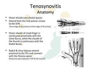 Tenosynovitis
                                     Anatomy
 Flexor sheaths are closed spaces
 Extend from the mid-palmar crease
  to the DIPJ
   (Prox edge of A1 pulley to distal edge of A5 pulley)

 Flexor sheath of small finger is
  continuous proximally with the
  Ulnar Bursa, while the sheath of
  the thumb is continuous with the
  Radial Bursa

 Radial & Ulnar bursae extend
  proximal to the TCL and connect
  with the Parona space
   (Potential space between FDP & PQ muscle)
 