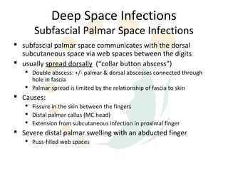 Deep Space Infections
      Subfascial Palmar Space Infections
 subfascial palmar space communicates with the dorsal
  subcutaneous space via web spaces between the digits
 usually spread dorsally (“collar button abscess”)
    Double abscess: +/- palmar & dorsal abscesses connected through
     hole in fascia
    Palmar spread is limited by the relationship of fascia to skin
 Causes:
    Fissure in the skin between the fingers
    Distal palmar callus (MC head)
    Extension from subcutaneous infection in proximal finger
 Severe distal palmar swelling with an abducted finger
    Puss-filled web spaces
 