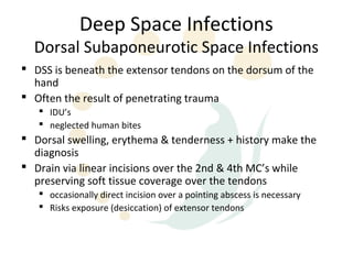 Deep Space Infections
  Dorsal Subaponeurotic Space Infections
 DSS is beneath the extensor tendons on the dorsum of the
  hand
 Often the result of penetrating trauma
    IDU’s
    neglected human bites
 Dorsal swelling, erythema & tenderness + history make the
  diagnosis
 Drain via linear incisions over the 2nd & 4th MC’s while
  preserving soft tissue coverage over the tendons
    occasionally direct incision over a pointing abscess is necessary
    Risks exposure (desiccation) of extensor tendons
 