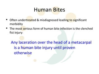Human Bites
 Often undertreated & misdiagnosed leading to significant
  morbidity
 The most serious form of human bite infection is the clenched
  fist injury:


   Any laceration over the head of a metacarpal
    is a human bite injury until proven
    otherwise
 