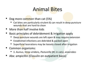 Animal Bites
 Dog more common than cat (5%)
    Cat bites are particularly virulent & can result in deep puncture
     wounds that are hard to clean
 More than half involve kids
 Basic principles of debridement & irrigation apply
    Deep puncture wounds are left open & may require extension
    Established infections are debrided & packed open
    Superficial lacerations may be loosely closed after irrigation
 Common organisms:
    S. Aureus, Strep viridans, Pasturella (#1 in cats), anaerobes
 Abx: ampicillin (Clavulin on outpatient basis)
 
