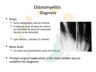 Osteomyelitis
                              Diagnosis
 Xrays:
    Early radiographs may be normal
    It takes at least 10 days for matrix
     to mineralize & areas of increased
     density to be detected.

    Lytic lesions; sclerosis (1 month)

 Bone Scan:
    Can pick up osteomyelitis early, but less specific

 Prompt surgical exploration is the most reliable way to
  establish the diagnosis
 