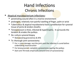 Hand Infections
                      Chronic Infections
 Atypical mycobacterium infections:
    penetrating wound often in a marine environment
    prolonged, relatively non-painful swelling of finger, palm or wrist
    Tuberculous & atypical mycobacteria have a predilection for synovial
     tissue of joints & tendon sheaths
    Tenosynovium is thick, infected & hypertrophic. It surrounds the
     tendons & erodes the pulleys.
    Dx: culture synovial biopsy
        Noncaseating granulomas & AFB
    Tx: thorough joint synovectomy
        For ++ joint damage: rest the joint until the infection is cured before
         undertaking reconstruction
        For tenosynovium: complete synovectomy sparing the pulleys
        Start anti-TB meds empirically (around time of synovectomy)
 