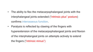 Hand anatomy 2 | PDF