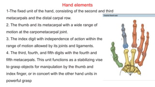 3rd Digit Hand Hand anatomy 2 | PDF