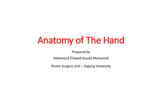 Anatomy of The Hand
Prepared by
Mahmoud Elsayed Gouda Mohamed
Plastic Surgery Unit – Zagazig University
 