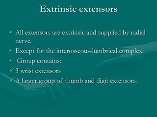 Extrinsic extensors
• All extensors are extrinsic and supplied by radial
nerve.
• Except for the interosseous-lumbrical complex.
• Group contains:
3 wrist extensors
A larger group of thumb and digit extensors.
 
