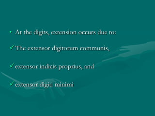 • At the digits, extension occurs due to:
The extensor digitorum communis,
extensor indicis proprius, and
extensor digiti minimi
 