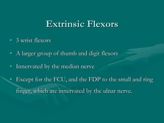Extrinsic Flexors
• 3 wrist flexors
• A larger group of thumb and digit flexors
• Innervated by the median nerve
• Except for the FCU, and the FDP to the small and ring
finger, which are innervated by the ulnar nerve.
 