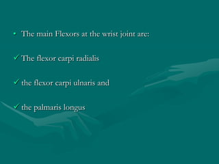 • The main Flexors at the wrist joint are:
 The flexor carpi radialis
 the flexor carpi ulnaris and
 the palmaris longus
 