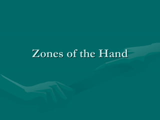 Zones of the Hand
 