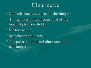 Ulnar nerve
• Controls fine movement of the fingers
• It originates at the medial cord of the
brachial plexus (C8-T1)
• Sensory to the:
hypothenar eminence
The palmar and dorsal ulnar one and a
half fingers
 