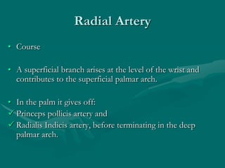 Radial Artery
• Course
• A superficial branch arises at the level of the wrist and
contributes to the superficial palmar arch.
• In the palm it gives off:
 Princeps pollicis artery and
 Radialis Indicis artery, before terminating in the deep
palmar arch.
 