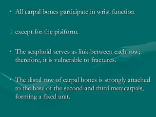 • All carpal bones participate in wrist function
o except for the pisiform.
• The scaphoid serves as link between each row;
therefore, it is vulnerable to fractures.
• The distal row of carpal bones is strongly attached
to the base of the second and third metacarpals,
forming a fixed unit.
 