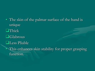• The skin of the palmar surface of the hand is
unique
Thick
Glabrous
Less Pliable
• This enhances skin stability for proper grasping
function.
 