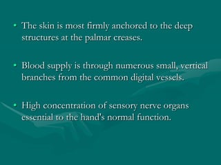 • The skin is most firmly anchored to the deep
structures at the palmar creases.
• Blood supply is through numerous small, vertical
branches from the common digital vessels.
• High concentration of sensory nerve organs
essential to the hand's normal function.
 