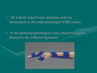 • All 4 distal carpal bones articulate with the
metacarpals at the carpometacarpal (CMC) joints.
• At the metacarpophalangeal joints, lateral motion is
limited by the collateral ligaments
 