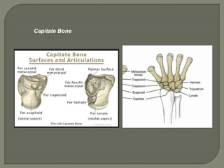 Hand and fore arm radiology truma girish gunar | PPTX