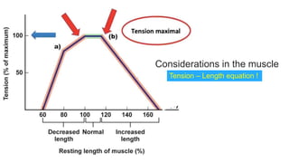 Hand anatomy and biomechanics wrist examination.pptx